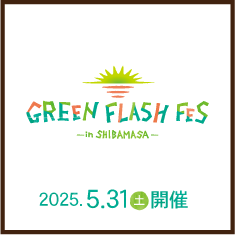 GREEN FLASH FES