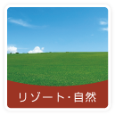 リゾート