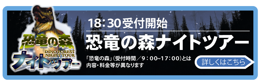 恐竜の森ナイトツアー