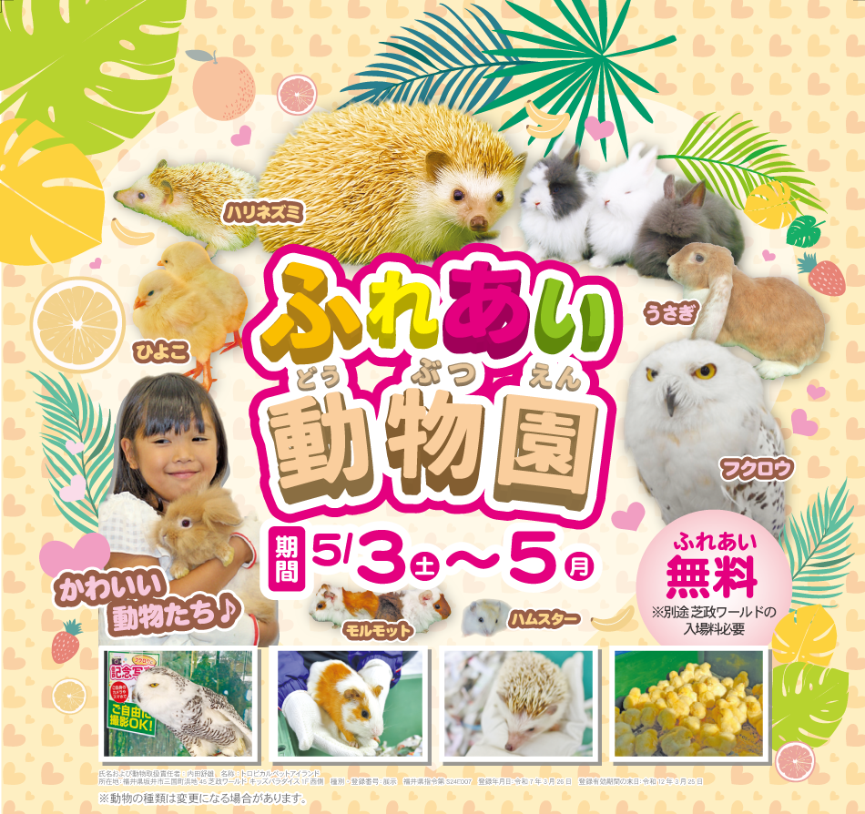 25GW_animal_pc