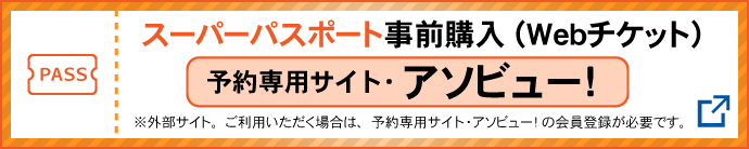 スーパーパスポート購入「アソビュー！」
