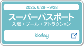 スーパーパスポート＿２ＤＡＹパスポート購入_kkday