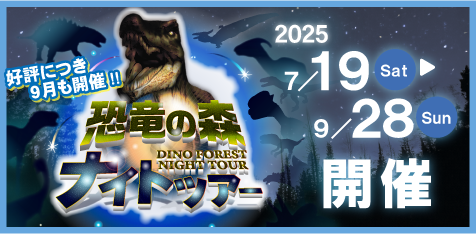 恐竜の森ナイトツアー
