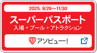 スーパーパスポート購入_アソビュー！