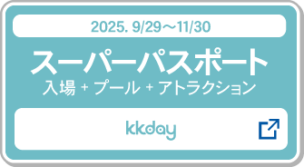 スーパーパスポート＿２ＤＡＹパスポート購入_kkday