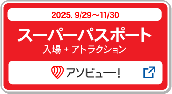 スーパーパスポート購入_アソビュー！