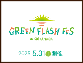 GREEN FLASH FES