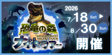 恐竜の森ナイトツアー