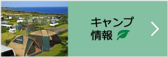 キャンプ情報