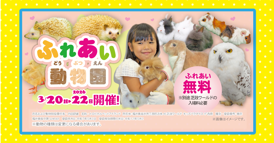 キッズフェスタ