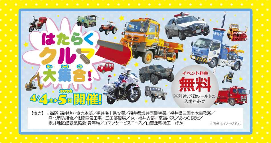 キッズフェスタ