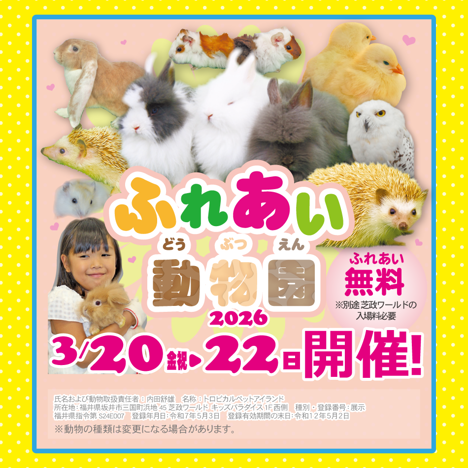 芝政キッズフェスタ