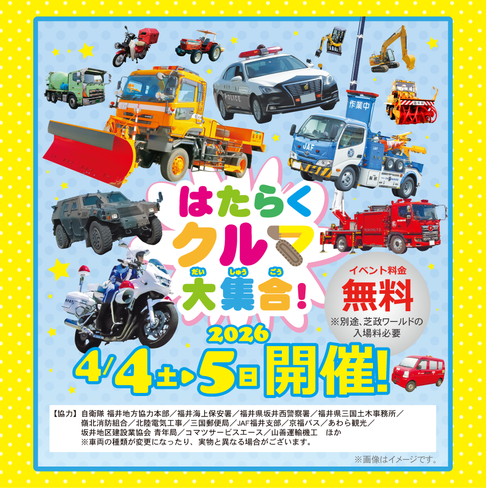 芝政キッズフェスタ