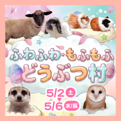 ふわふわ・もふもふどうぶつ村