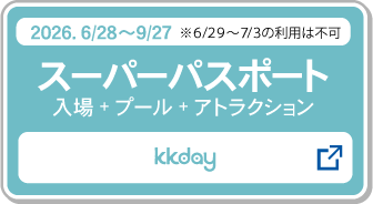 スーパーパスポート＿２ＤＡＹパスポート購入_kkday