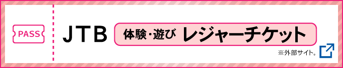 スーパーパスポート購入「アソビュー！」