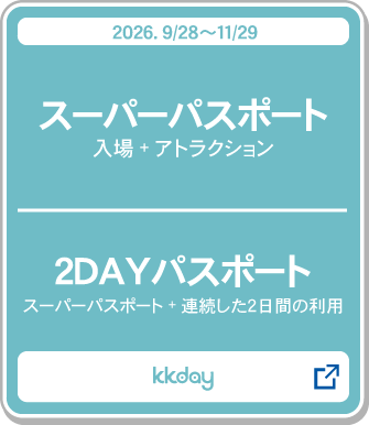 スーパーパスポート＿２ＤＡＹパスポート購入_kkday